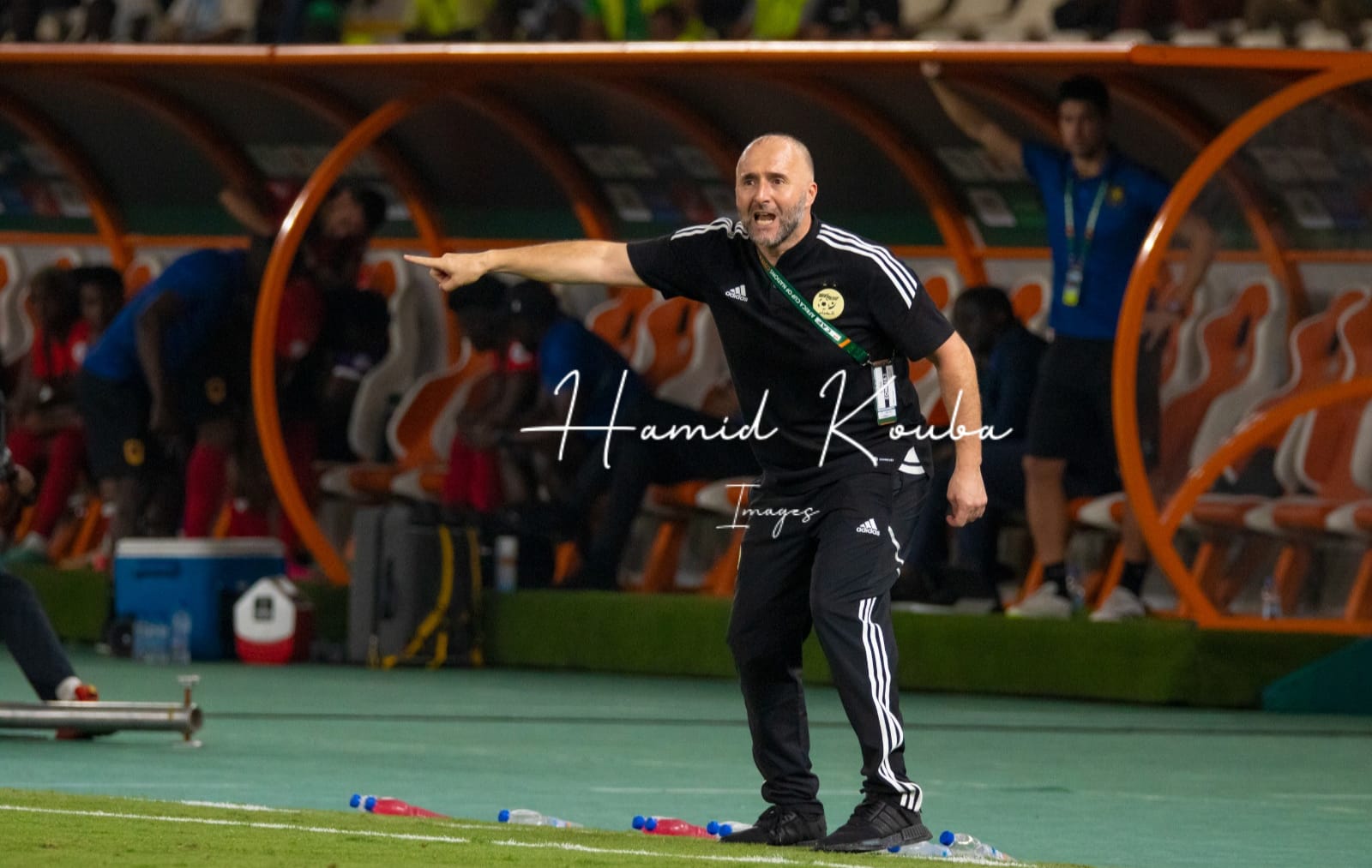 CAN 2023 Algérie On n a pas réussi c est cruel Djamel Belmadi