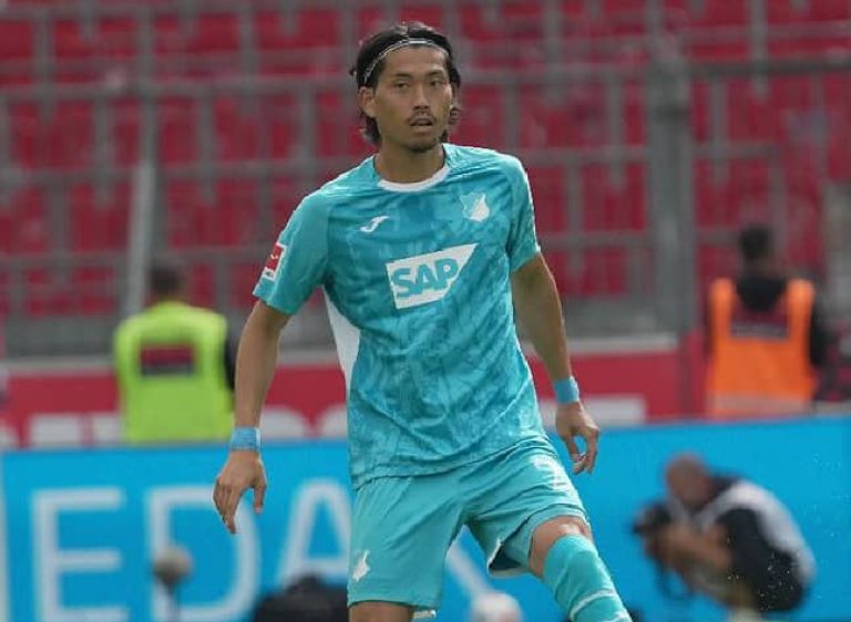 Hoffenheim Wouter Burger