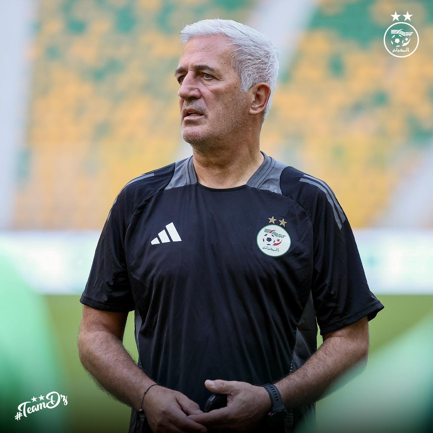 Algérie – liste de Petkovic : Elias Benkara découvre les Verts, Bennacer de retour, Belaïli et Benzia écartés