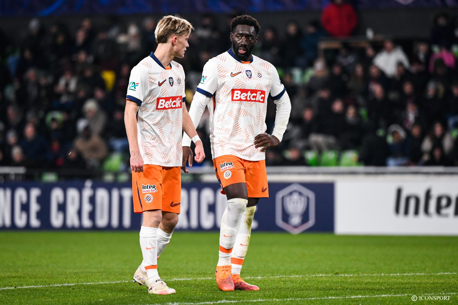 Ligue 2 BKT (J20) : le groupe de Montpellier pour le déplacement à Bastia